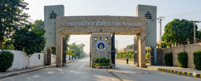 agriculture university peshawar
