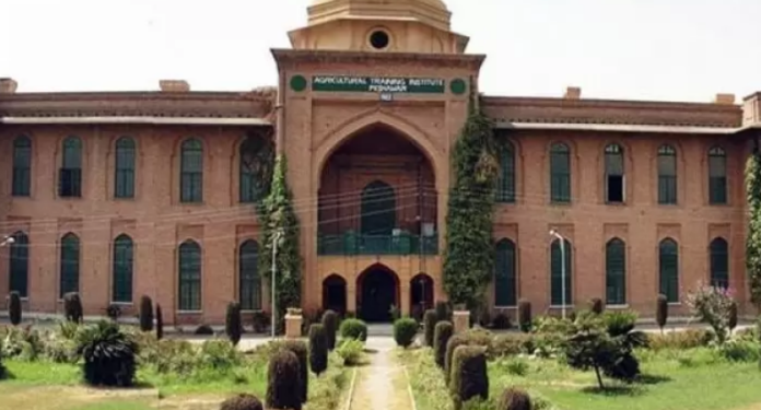 زرعی یونیورسٹی پشاور